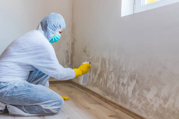 Licensed Bathroom Mold Removal service in Burnham, PA - WQB Mold Removal