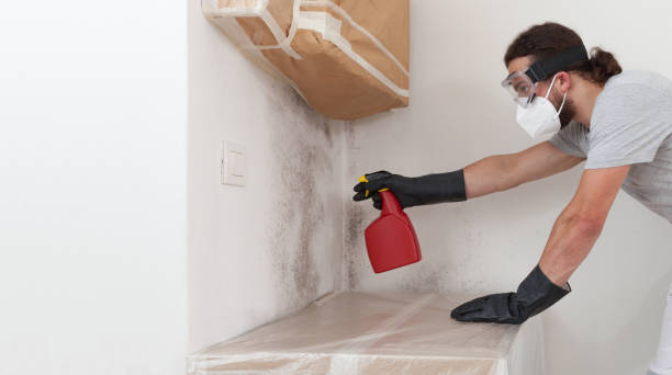 Professional Bathroom Mold Removal technician working in Burnham, PA