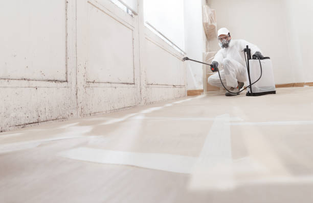 24/7 Emergency Bathroom Mold Removal experts in Burnham, PA