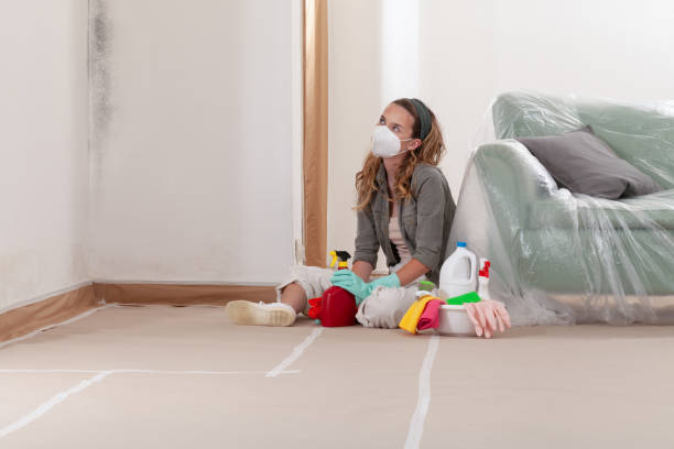Reliable Bathroom Mold Removal contractor in Burnham, PA by WQB Mold Removal