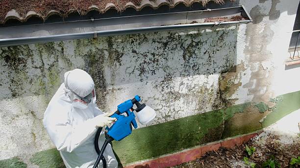 Top rated local Bathroom Mold Removal specialists in Burnham, PA